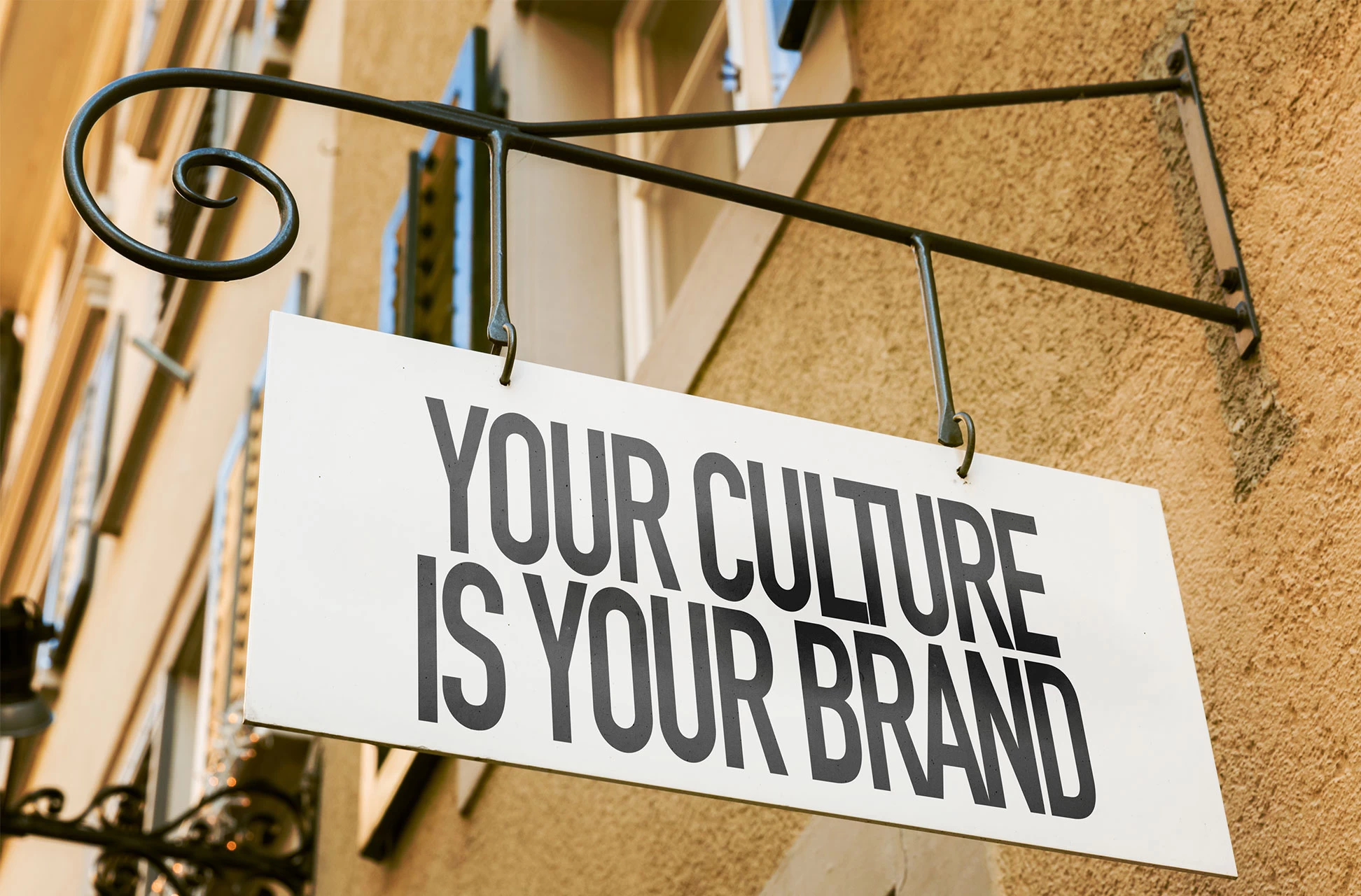 Our 5 Roots For Our Corporate Culture