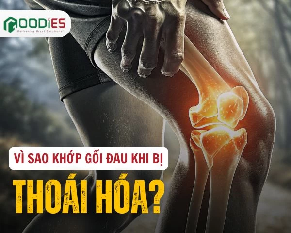 VÌ SAO KHỚP GỐI ĐAU KHI BỊ THOÁI HÓA?